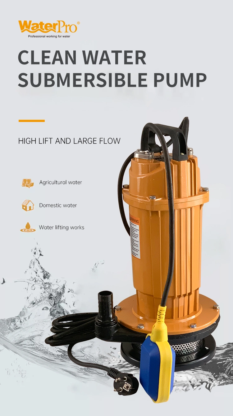 Basic Cutomization Waterpro Popular 750W 220V 2inch High Head Submersible Water Pump China Qdx Model