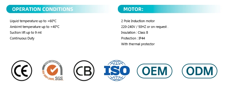 Modern Design 1HP Cgo High Quality Favorable Price Standard Motor Transfer Centrifugal Clean Water Pumps