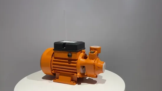 Zentrifugale Abwasser-Peripherie-Tauchpumpe mit Vortex-Druck, elektrisch, QB 50, 60, 70, 80, einphasige 220-V-Reinwasserpumpe (QB60-A)